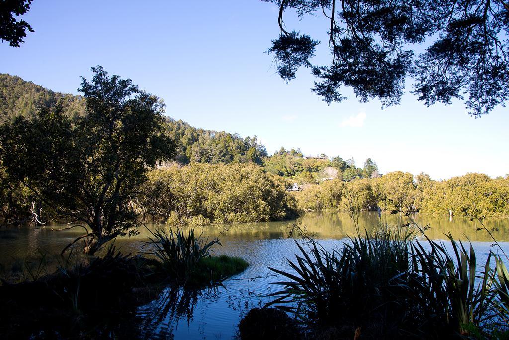 By The Park B & B Whangarei Exterior photo