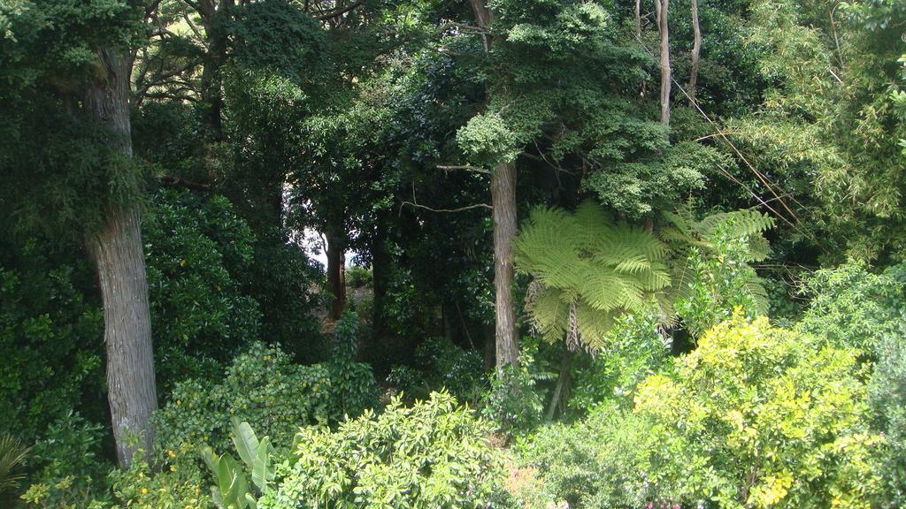 By The Park B & B Whangarei Room photo