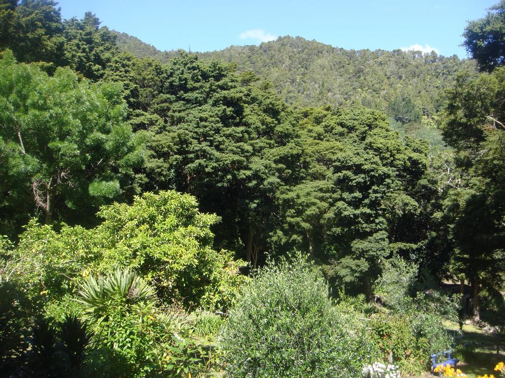 By The Park B & B Whangarei Room photo